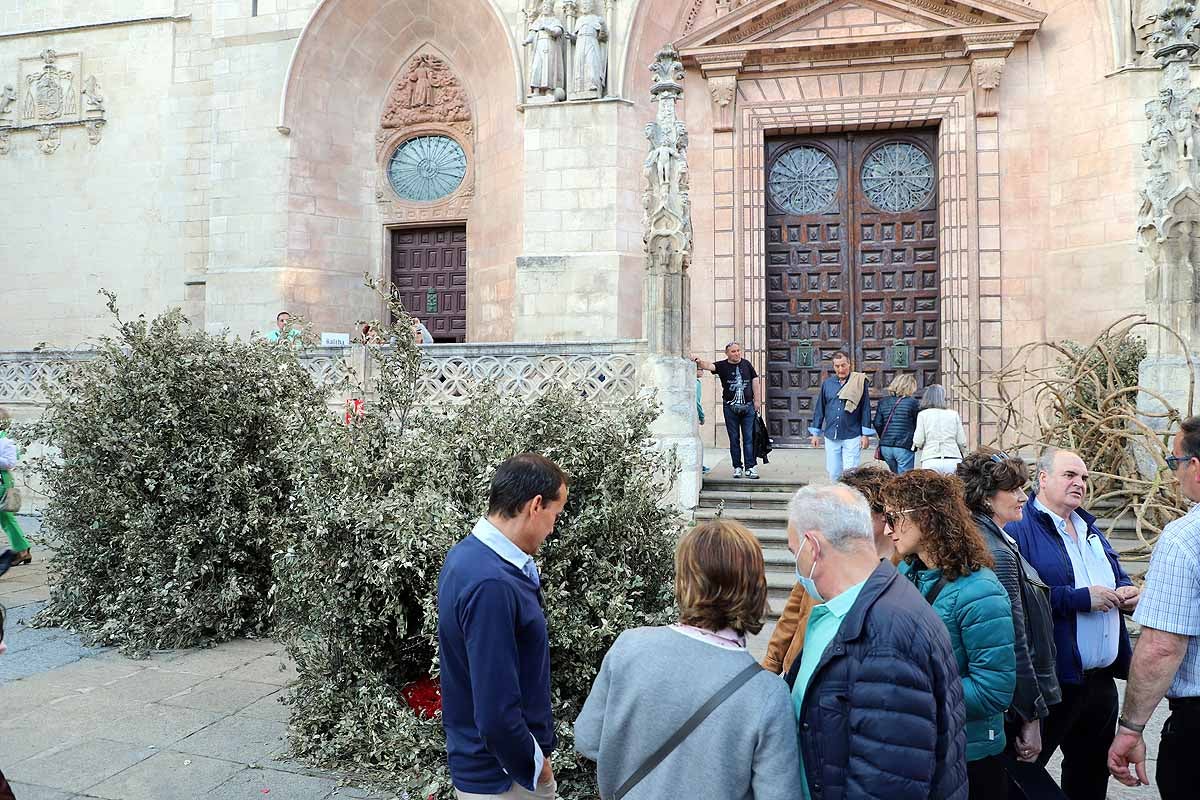 Fotos: La primavera invade Burgos con el regreso de la Fiesta de las Flores