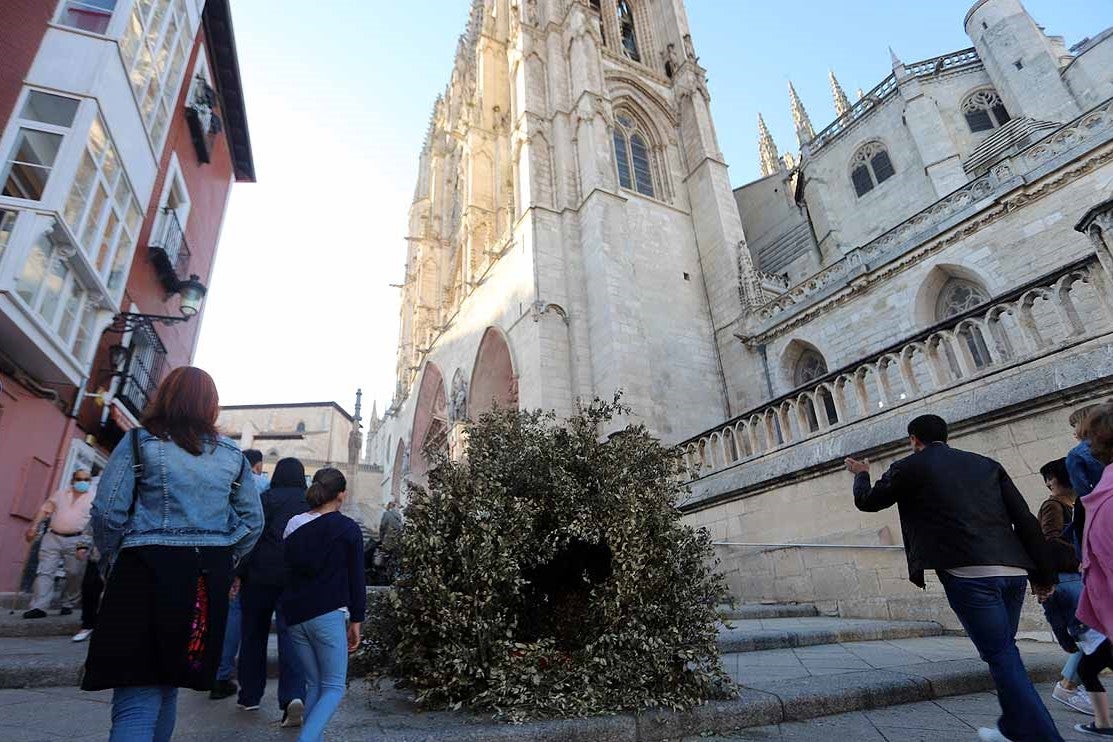 Fotos: La primavera invade Burgos con el regreso de la Fiesta de las Flores