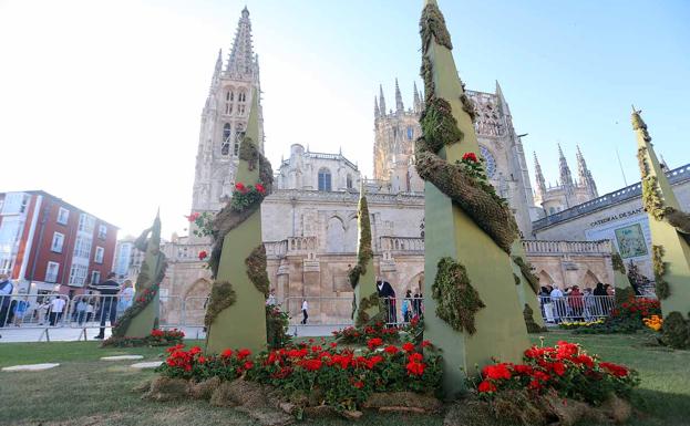 Galería. El color se apodera del centro de Burgos. 