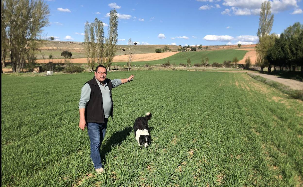 Francisco Velasco, en su explotación. 