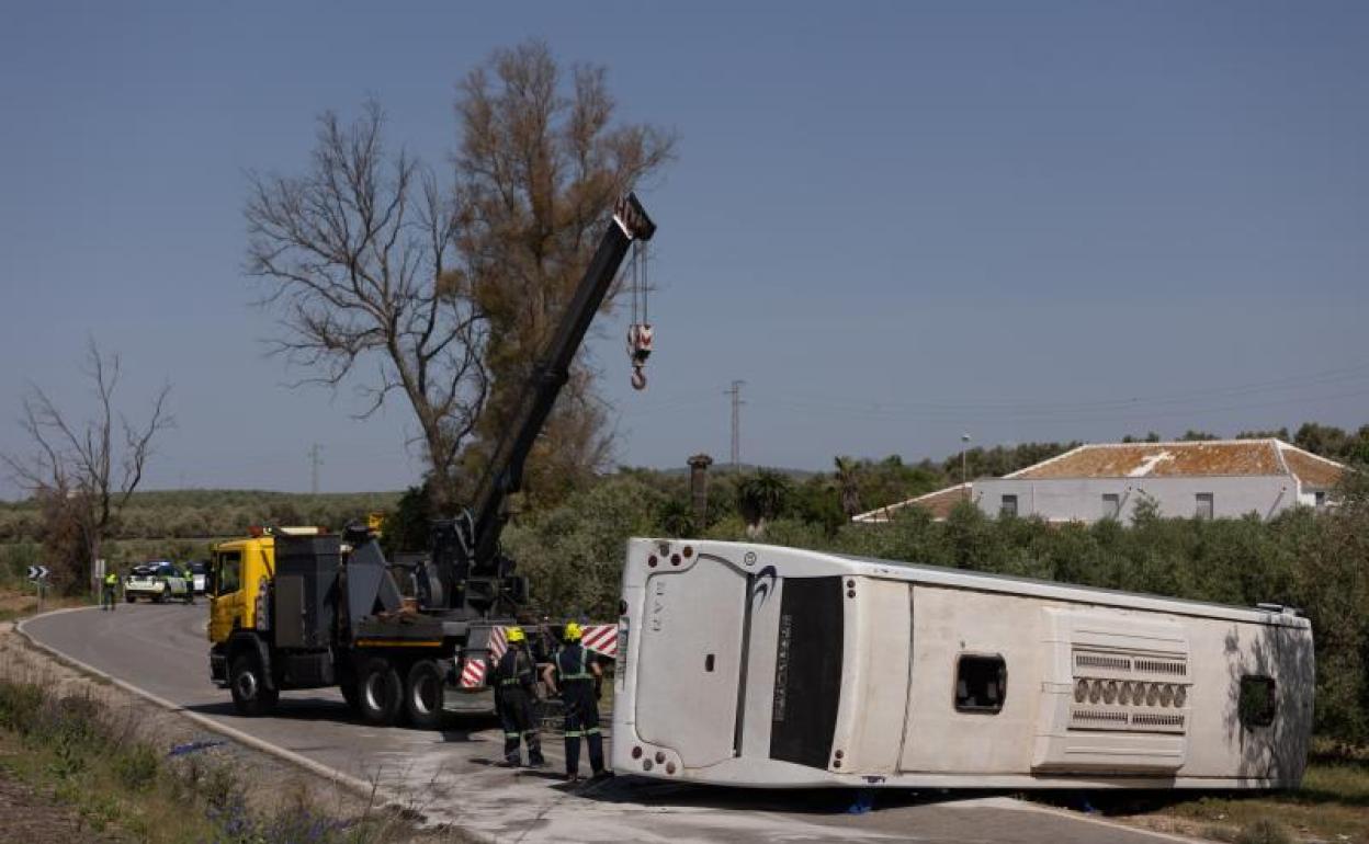 Los servicios de rescate trabajan en la zona del accidente. 