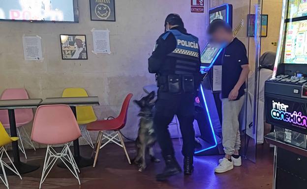 Galería. Un agente de la Policía Local en un bar de Burgos con un perro adiestrado para detectar droga.