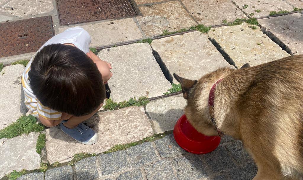 Fotos: Calor histórico en mayo en Burgos