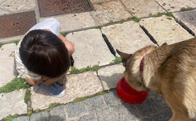 Ola de calor histórica en Burgos