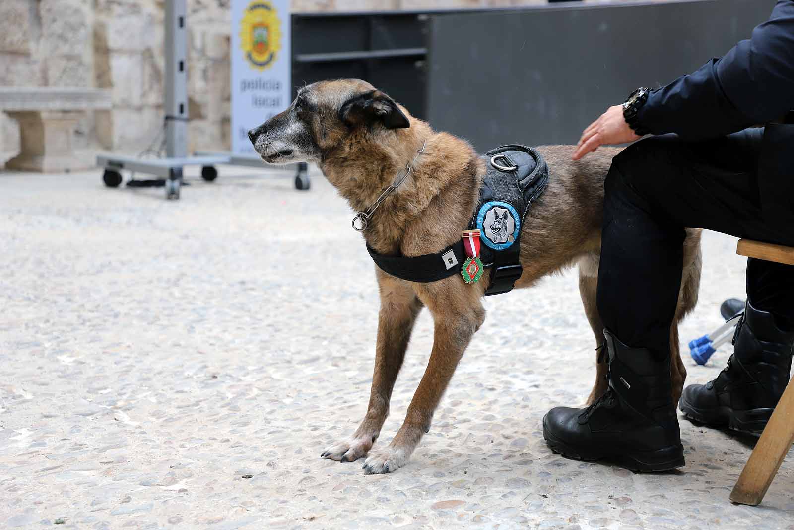 Fotos: La Policía Local de Burgos entrega sus disticiones