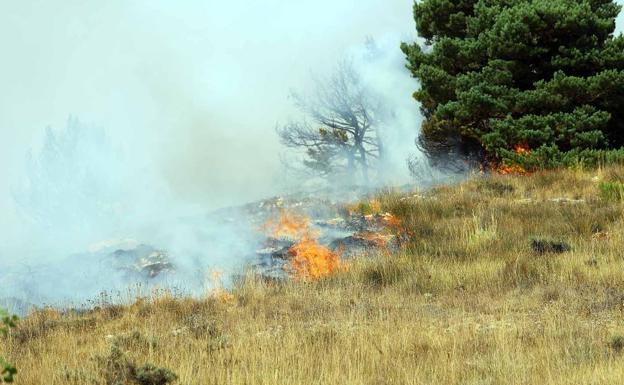 Sin riesgo de incendios graves en los montes de Burgos pese a las altas temperaturas de mayo