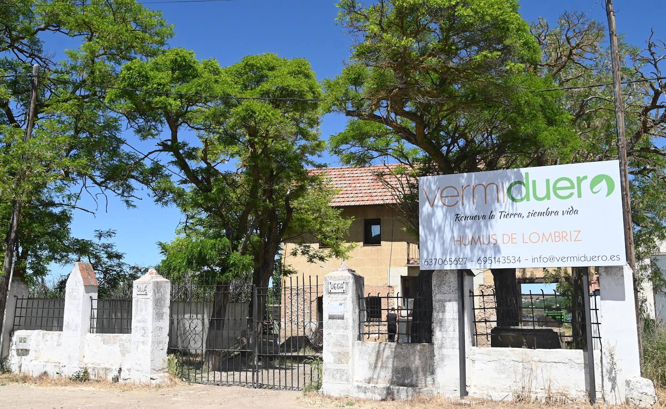 Fotos: Vermiduero, empresa burgalesa dedicada a realizar humus de lombriz