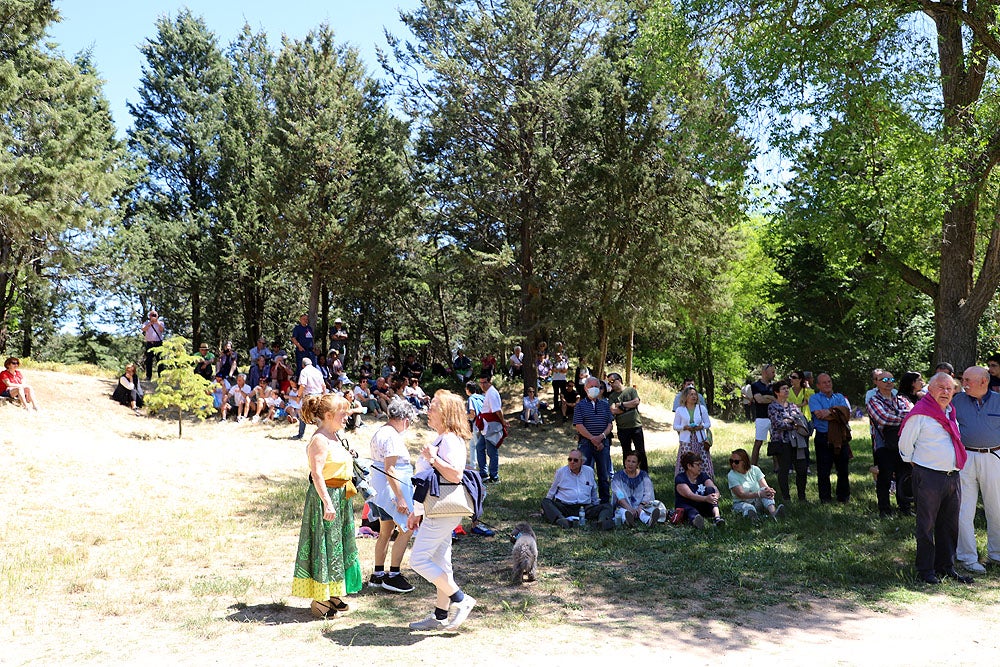 Fotos: Romería de La Blanca en Burgos