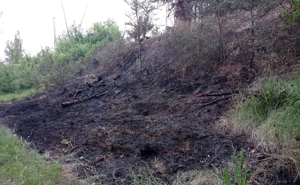 Ladera quemada en la ribera del río Duero, junto al puente de la vía en Aranda,