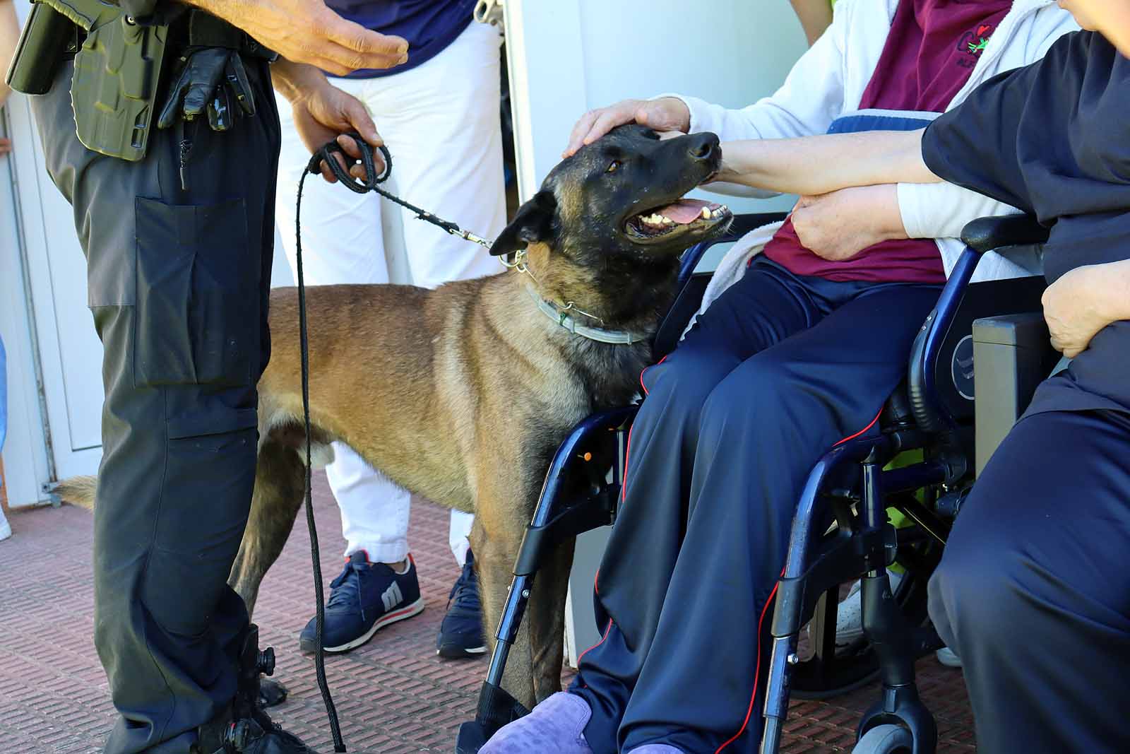 La unidad canina visitó la Residencia Asisitida de Personas Mayores de Fuentes Blancas.