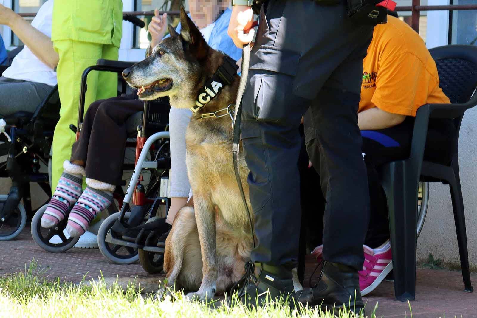 La unidad canina visitó la Residencia Asisitida de Personas Mayores de Fuentes Blancas.