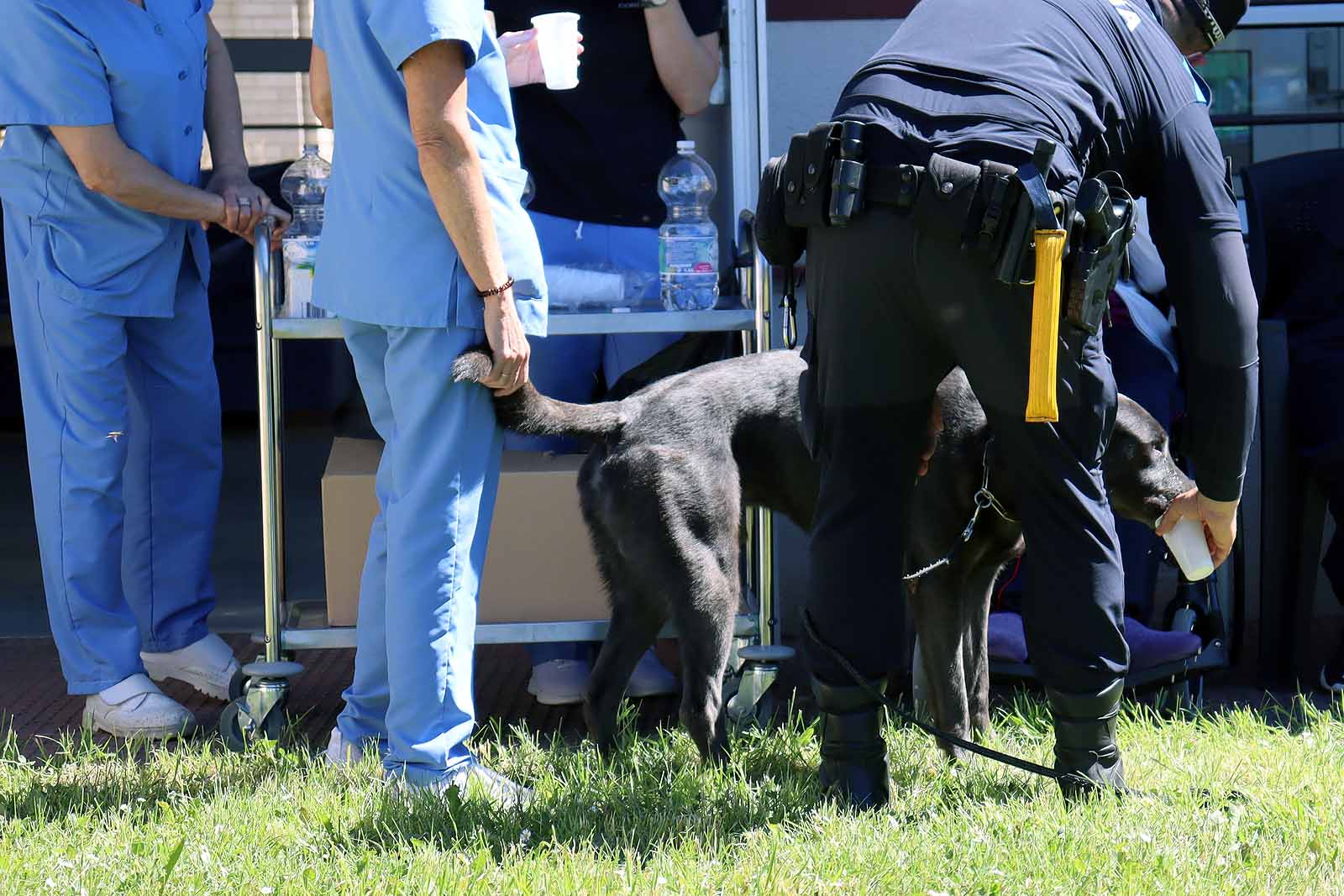 La unidad canina visitó la Residencia Asisitida de Personas Mayores de Fuentes Blancas.