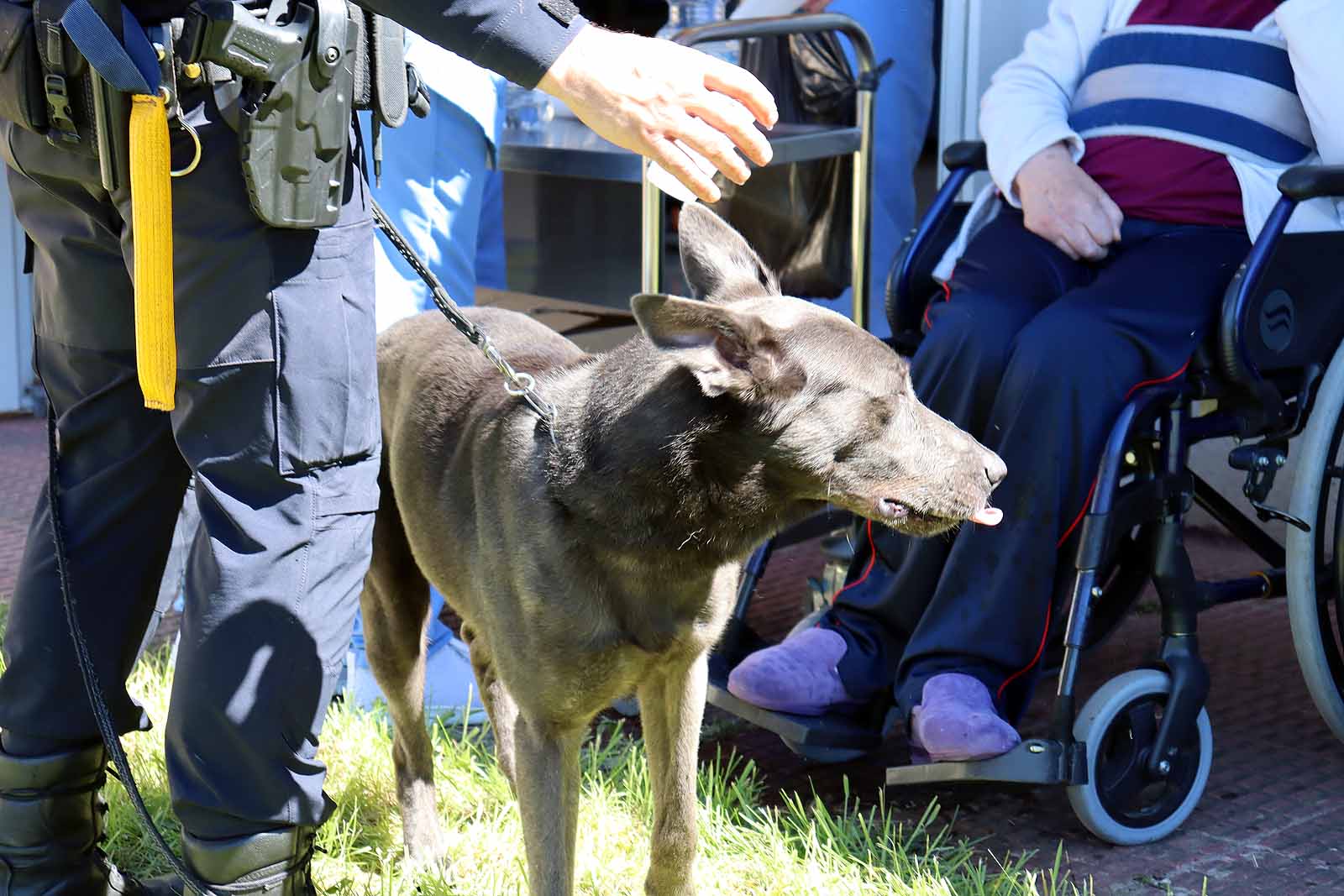 La unidad canina visitó la Residencia Asisitida de Personas Mayores de Fuentes Blancas.