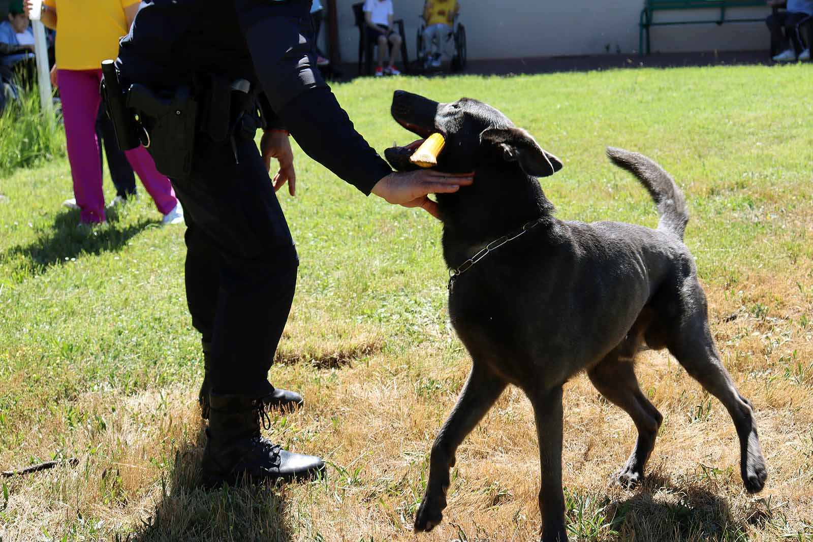 La unidad canina visitó la Residencia Asisitida de Personas Mayores de Fuentes Blancas.