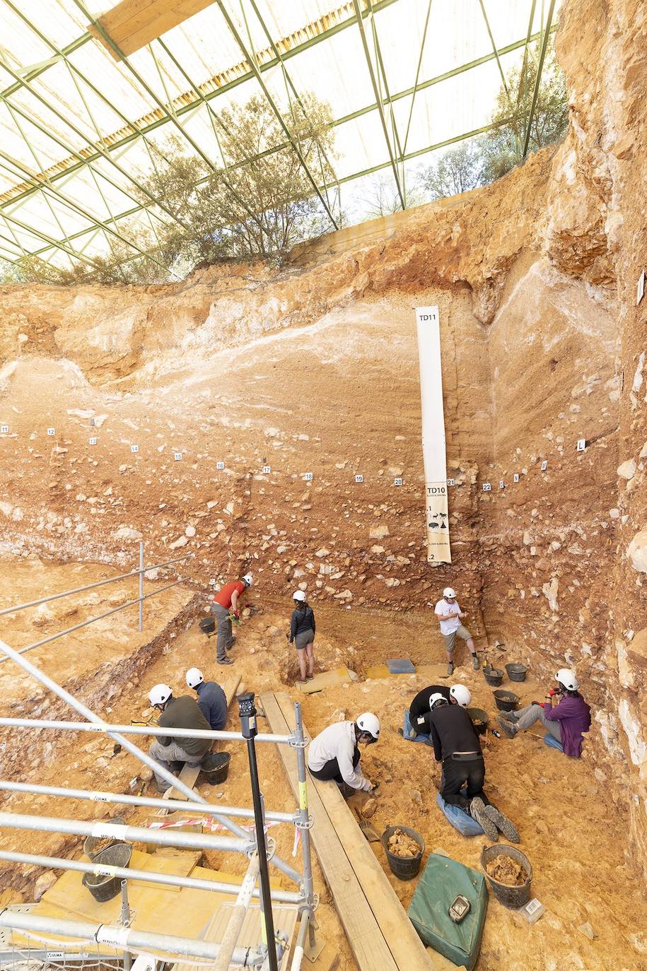 Comienza la campaña de excavaciones en Atapuerca centrada en 11 yacimientos