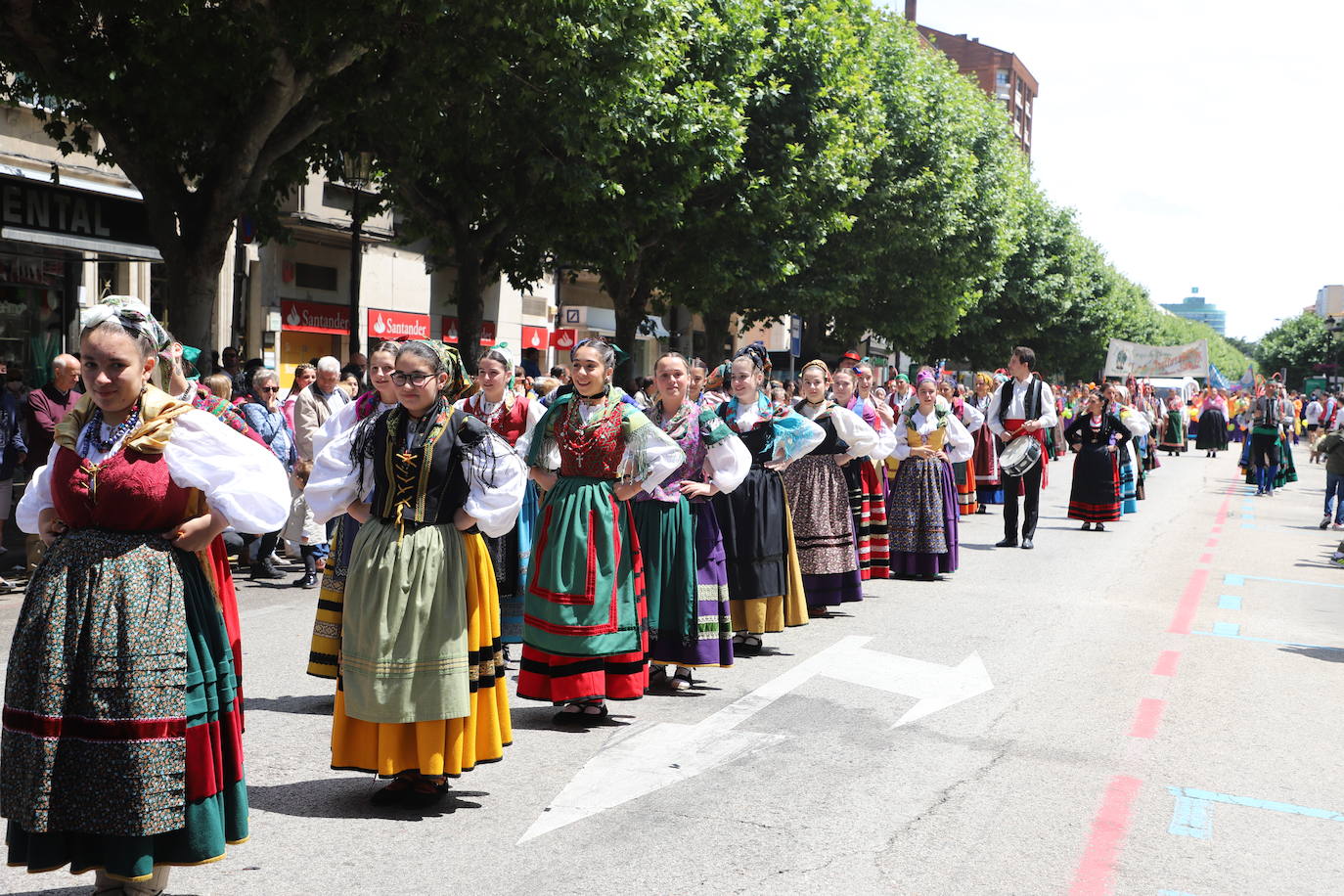 Las peñas desfilan por las calles de Burgos a ritmo de charanga, a golpe de pañuelo y escoltando a las carrozas para celebrar los Sampedros