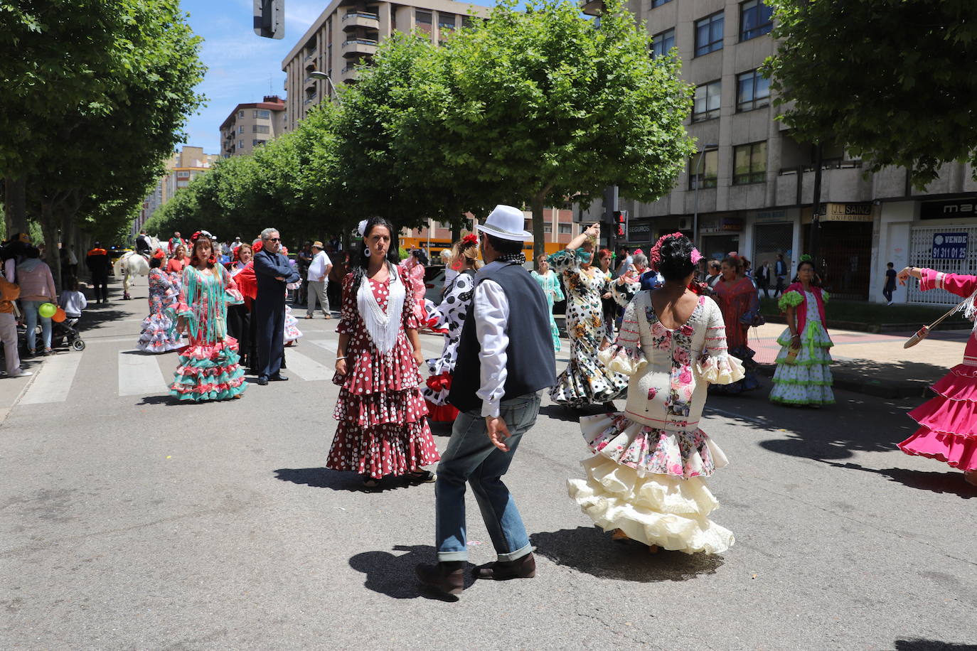 Las peñas desfilan por las calles de Burgos a ritmo de charanga, a golpe de pañuelo y escoltando a las carrozas para celebrar los Sampedros