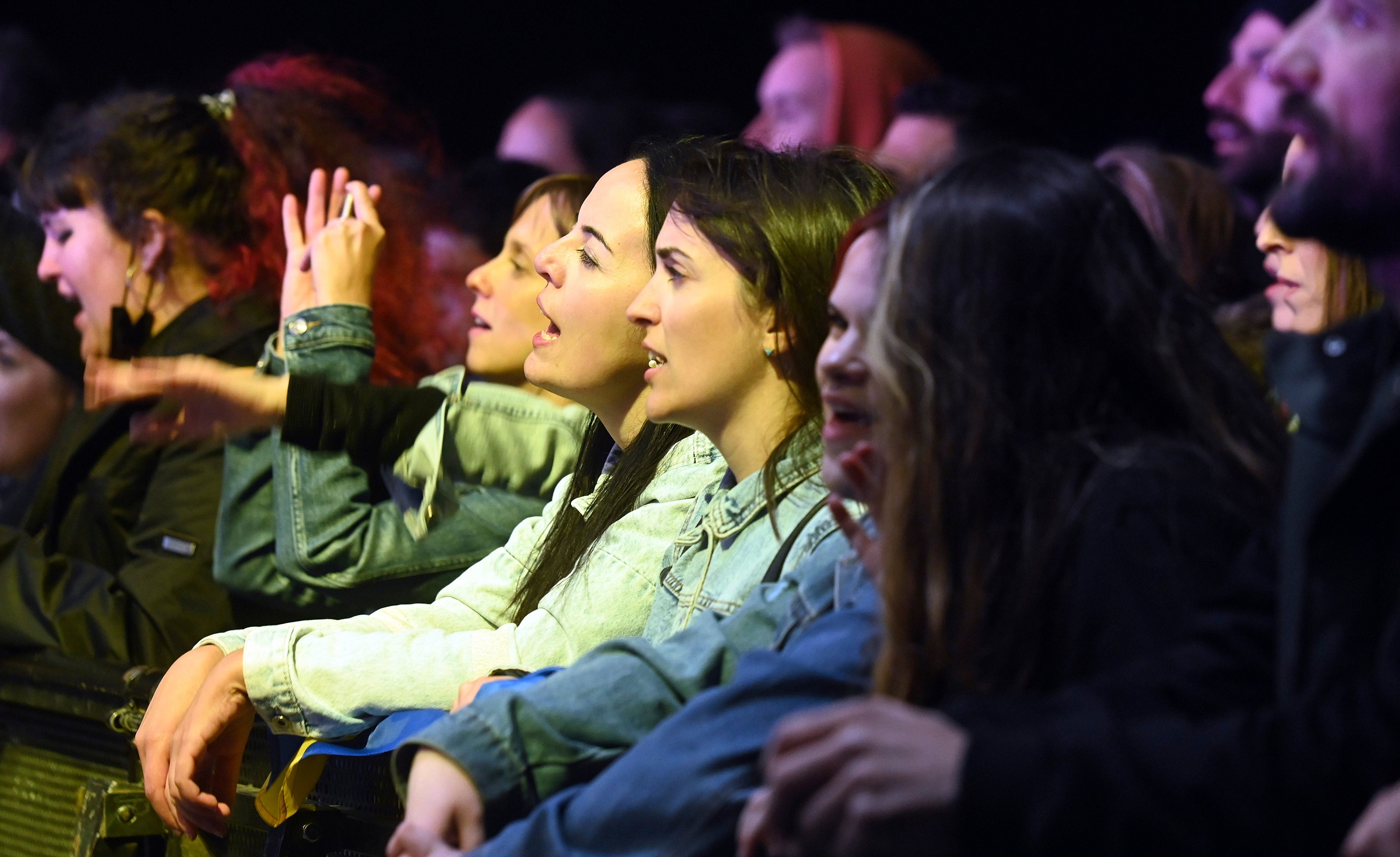 Viva Suecia en concierto.