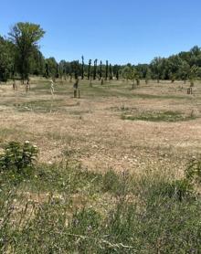 Imagen secundaria 2 - Burgos estrena 26 paradas de bus accesible y las obras de Fuentes Blancas Norte y el Parque Lineal del Vena