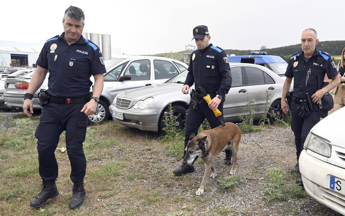 Fotos: La Unidad Canina de Burgos, un modelo de referencia policial