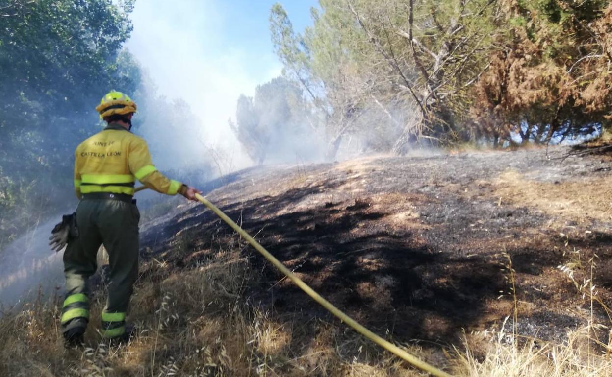 Servicios de extinción de incendios este viernes por la tarde en Parralillos.