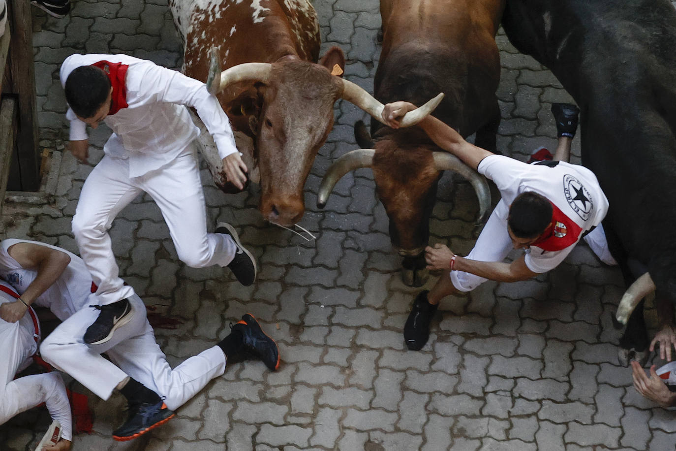 Los toros a su llegada al callejón. 