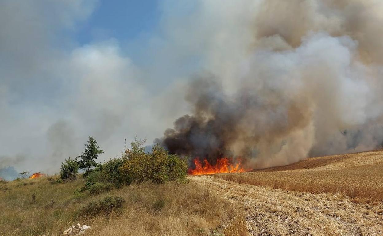 Las llamas avanzan por el campo en el incendio de Albaina