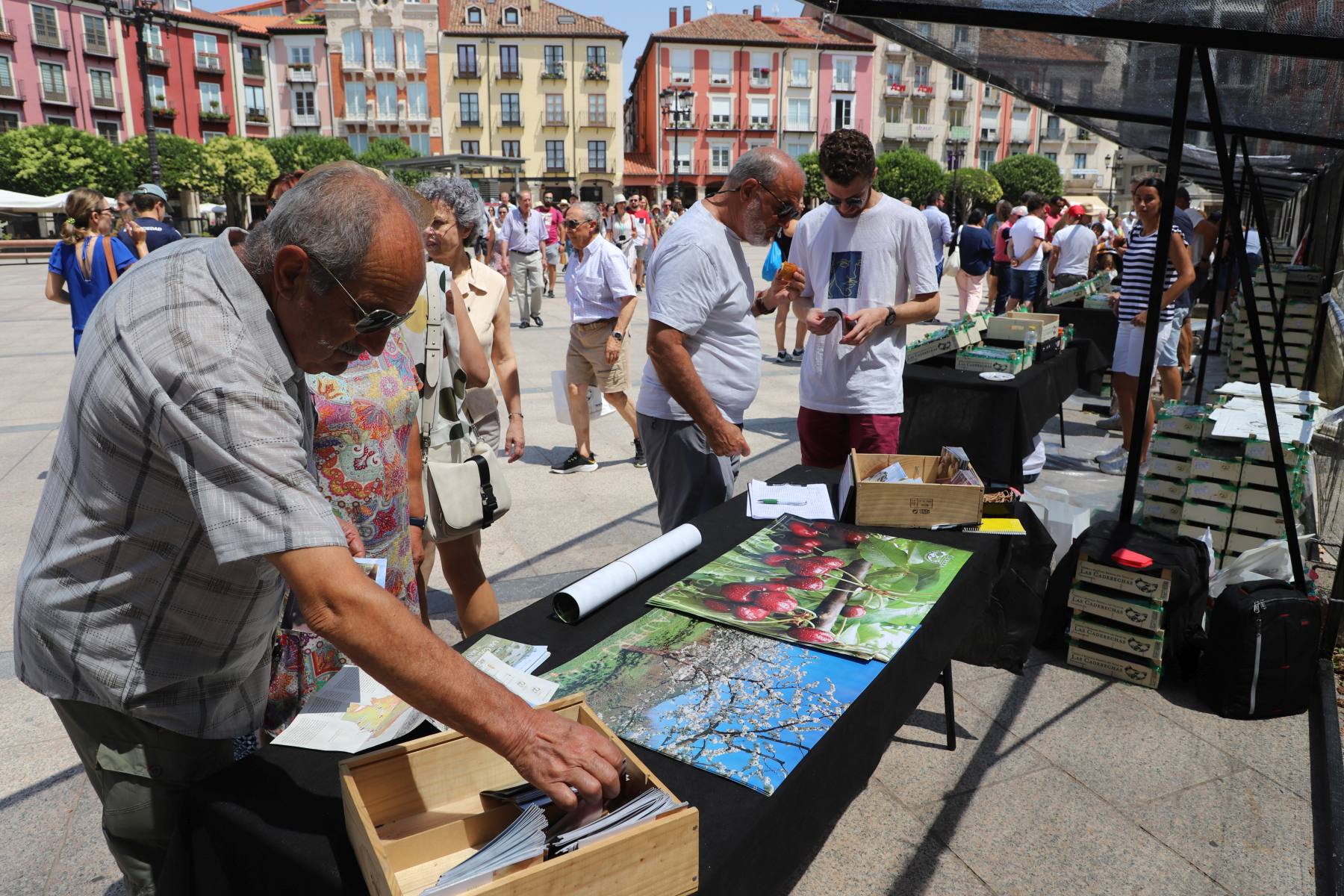 Fotos: Las cerezas endulzan la Plaza Mayor