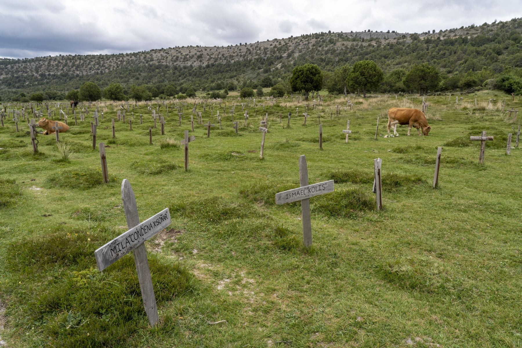 Fotos: Sad Hill, escenario de cine y literatura