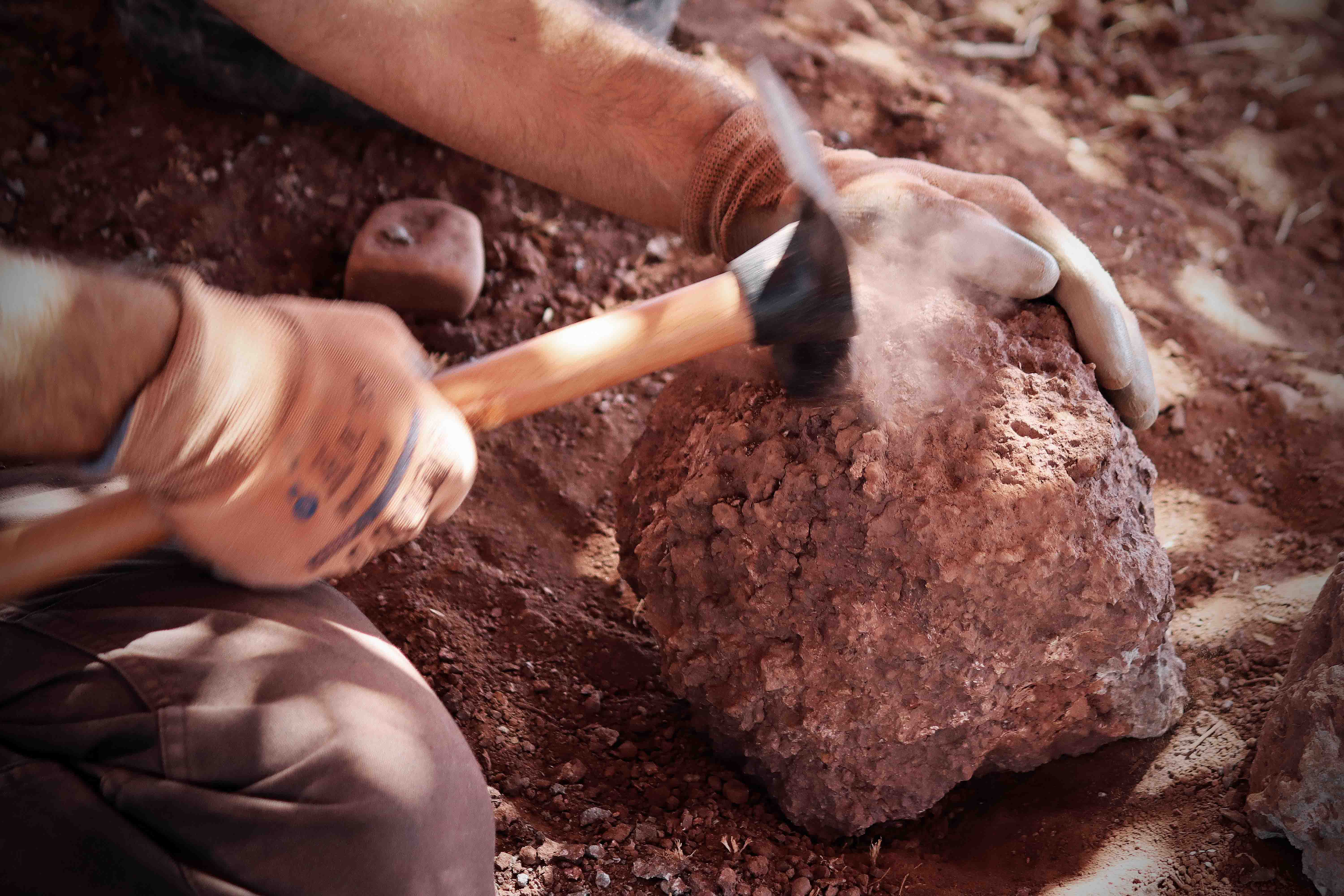 Fotos: Dentro de las excavaciones paleontológicas de Salas de los Infantes