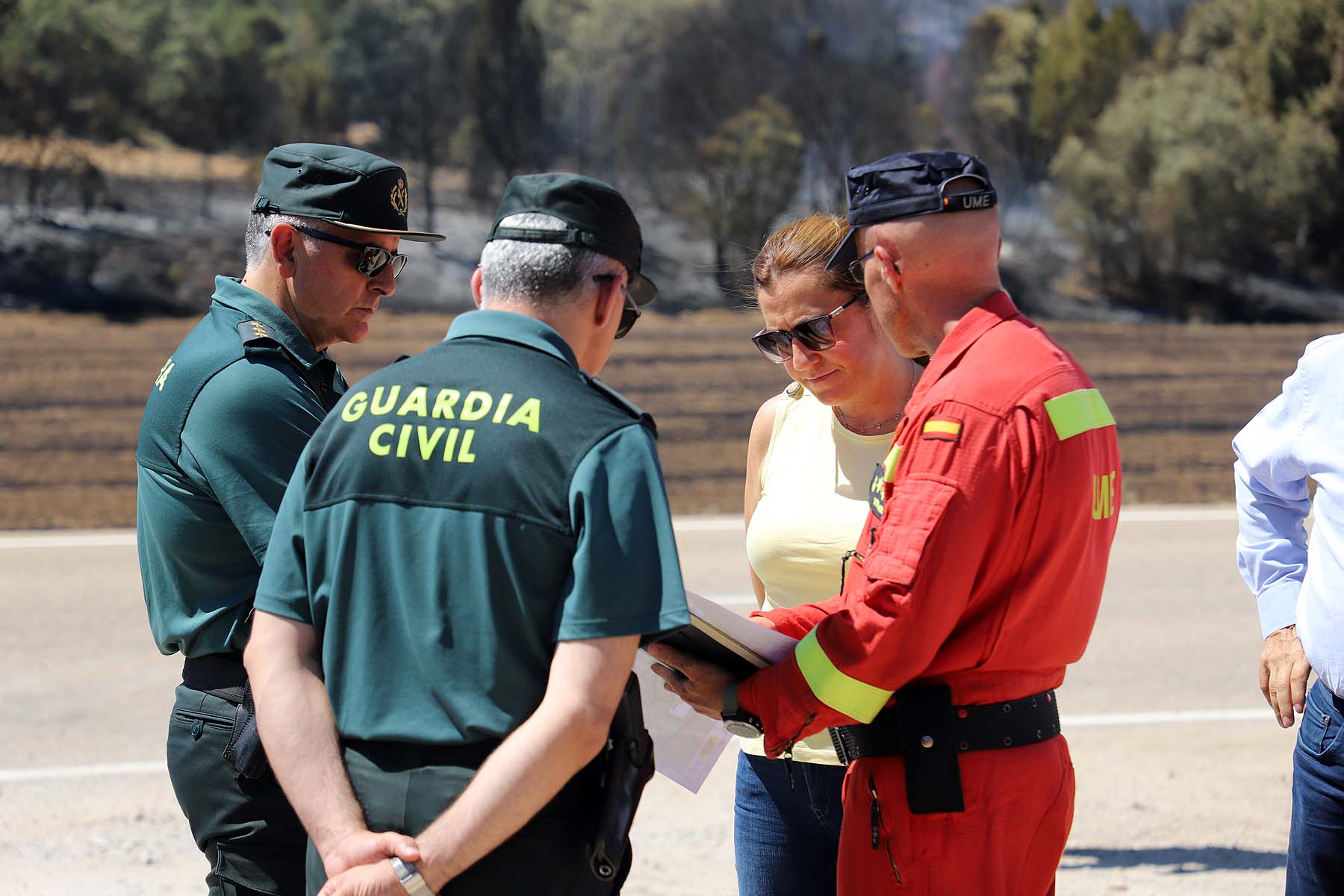 Fotos: El fuego arrasa la comarca del Arlanza