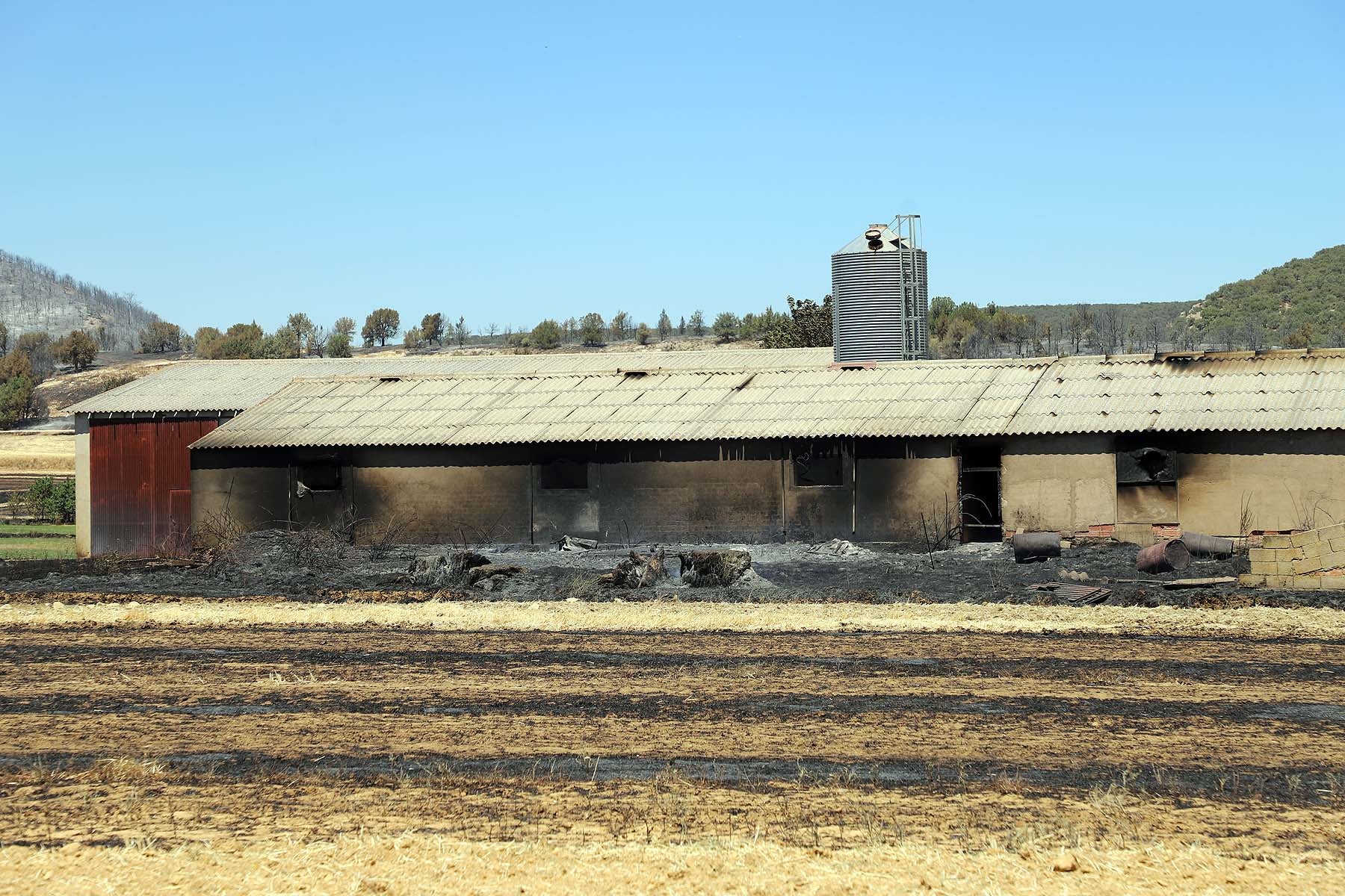 Fotos: El fuego arrasa la comarca del Arlanza