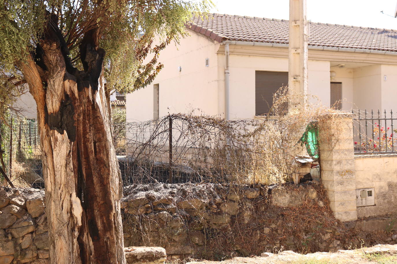 Fotos: Los vecinos de Santibáñez del Val vuelven a sus casas