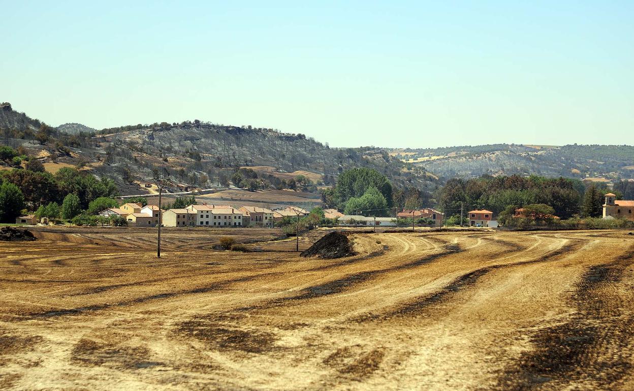 El incendio de Quintanilla del Coco ha sido especialmente virulento.