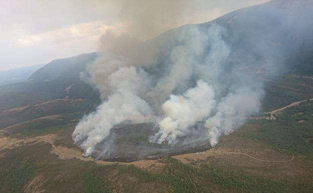 Imagen del incendio forestal de Pineda de la Sierra.