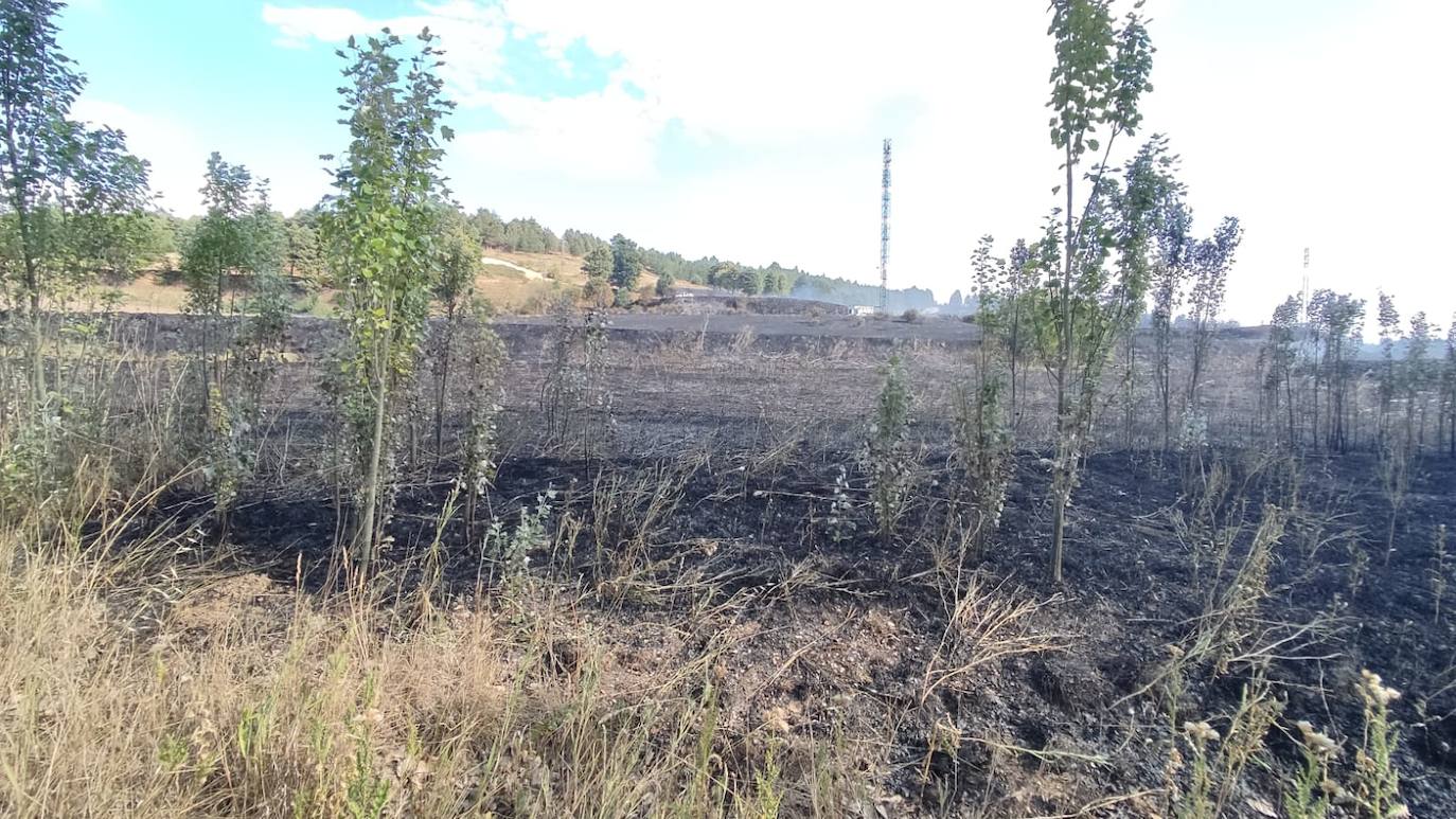 Tierra quemada en el cerro de San Miguel tras el incendio de Fuentecillas