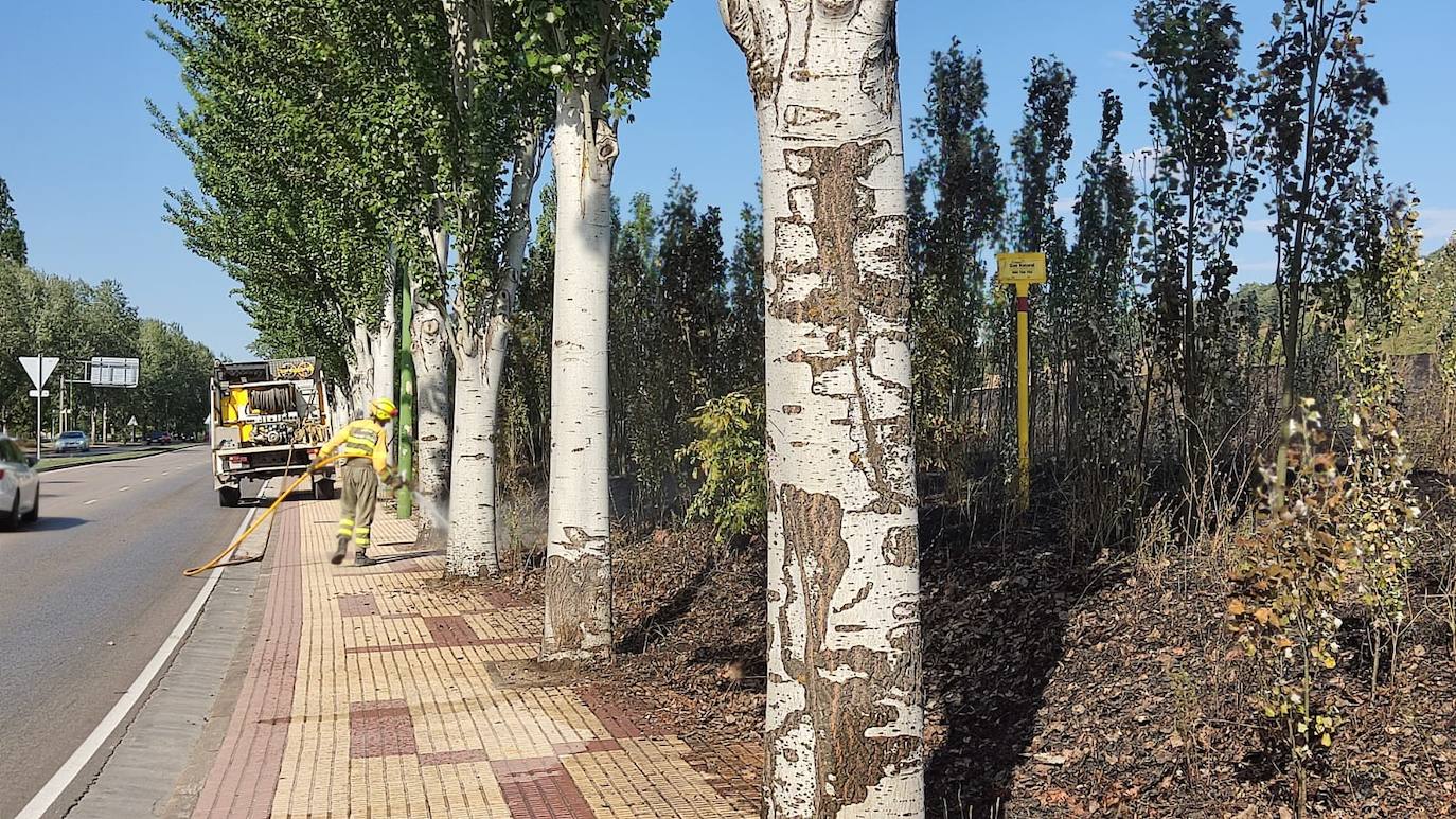 Tierra quemada en el cerro de San Miguel tras el incendio de Fuentecillas