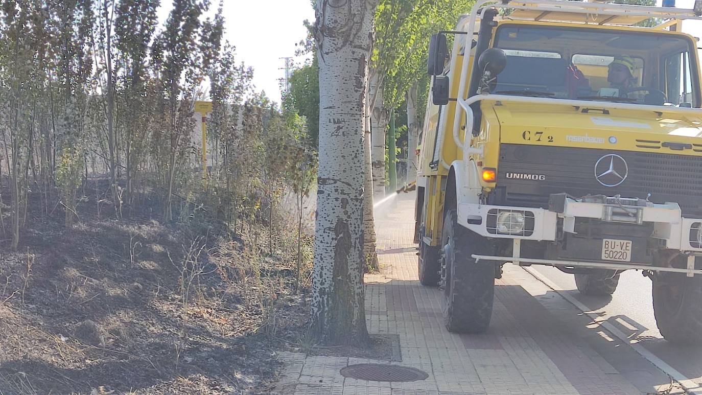 Tierra quemada en el cerro de San Miguel tras el incendio de Fuentecillas