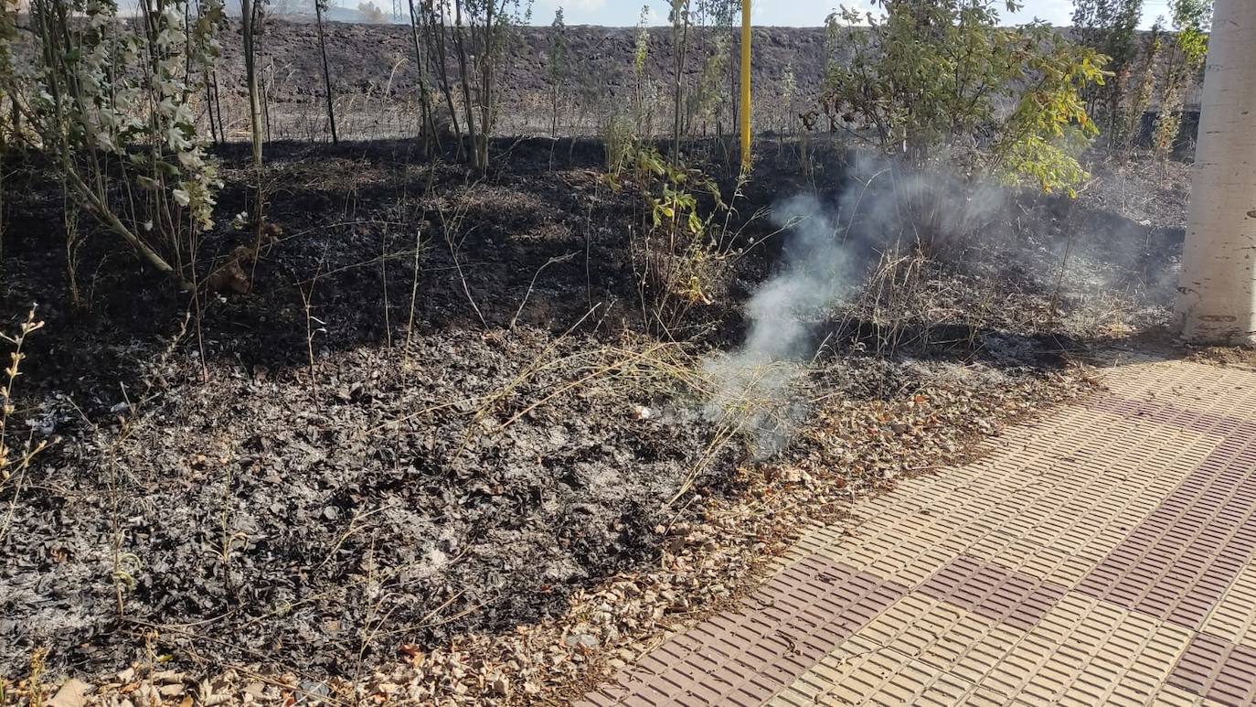 Tierra quemada en el cerro de San Miguel tras el incendio de Fuentecillas