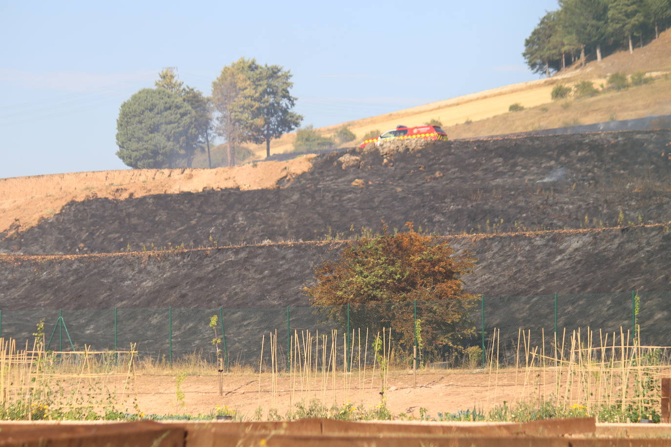 Tierra quemada en el cerro de San Miguel tras el incendio de Fuentecillas