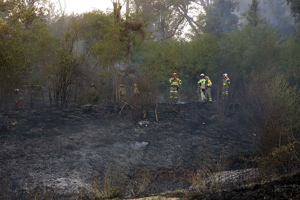 Fotos: Incendio en el Parque del Castillo de Burgos