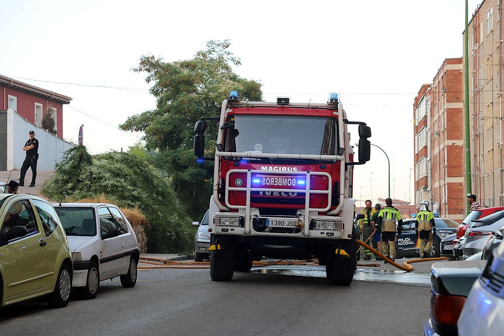 Fotos: Incendio en el Parque del Castillo de Burgos