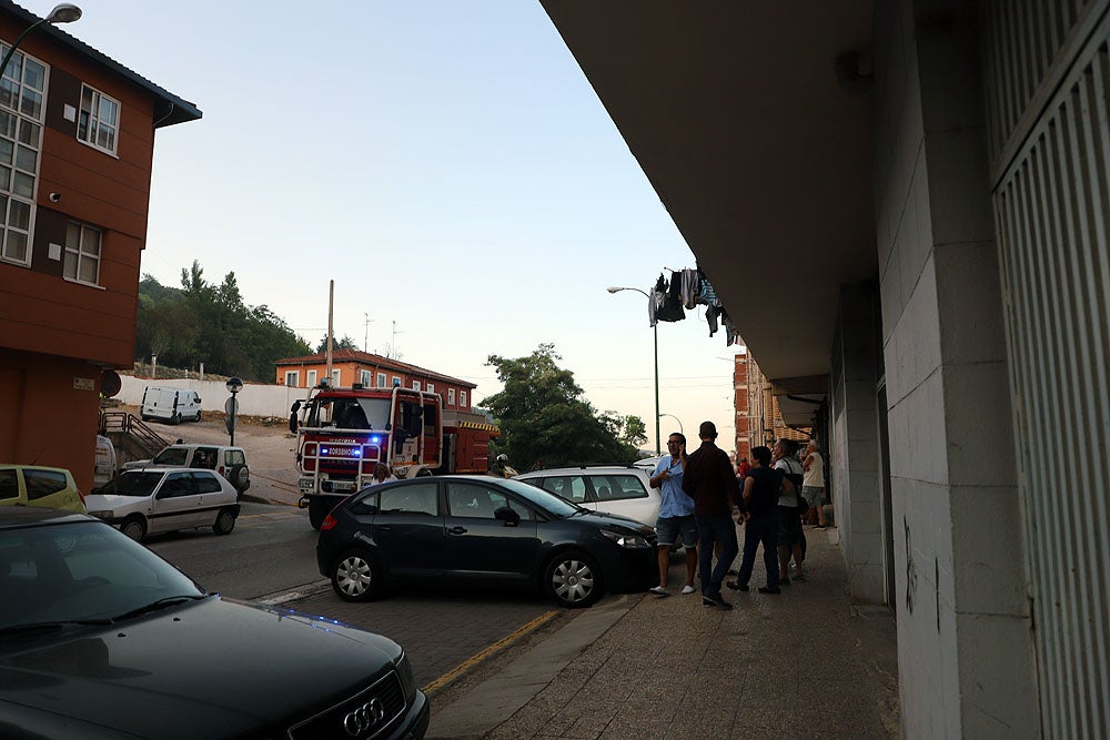 Fotos: Incendio en el Parque del Castillo de Burgos