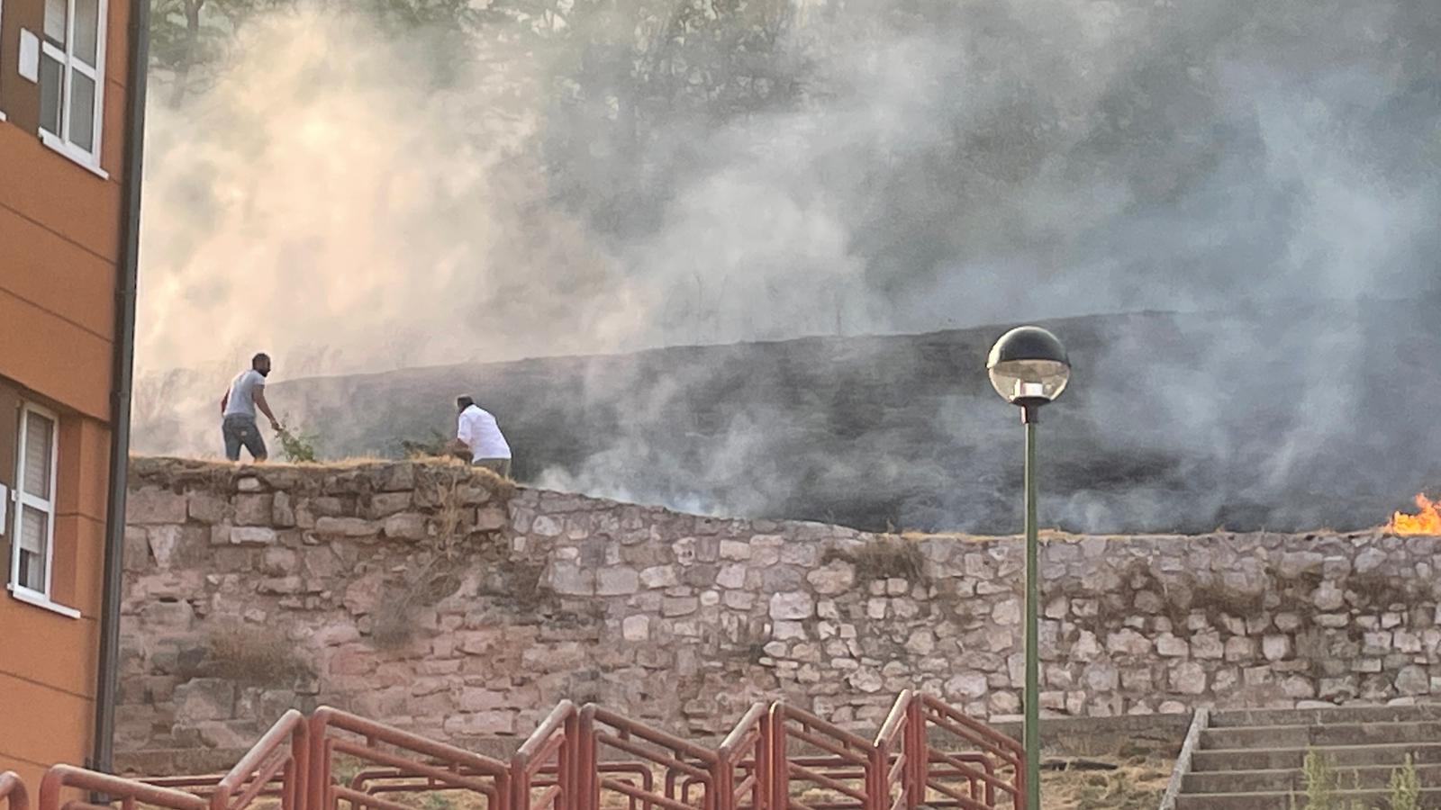 Fotos: Incendio en el Parque del Castillo de Burgos