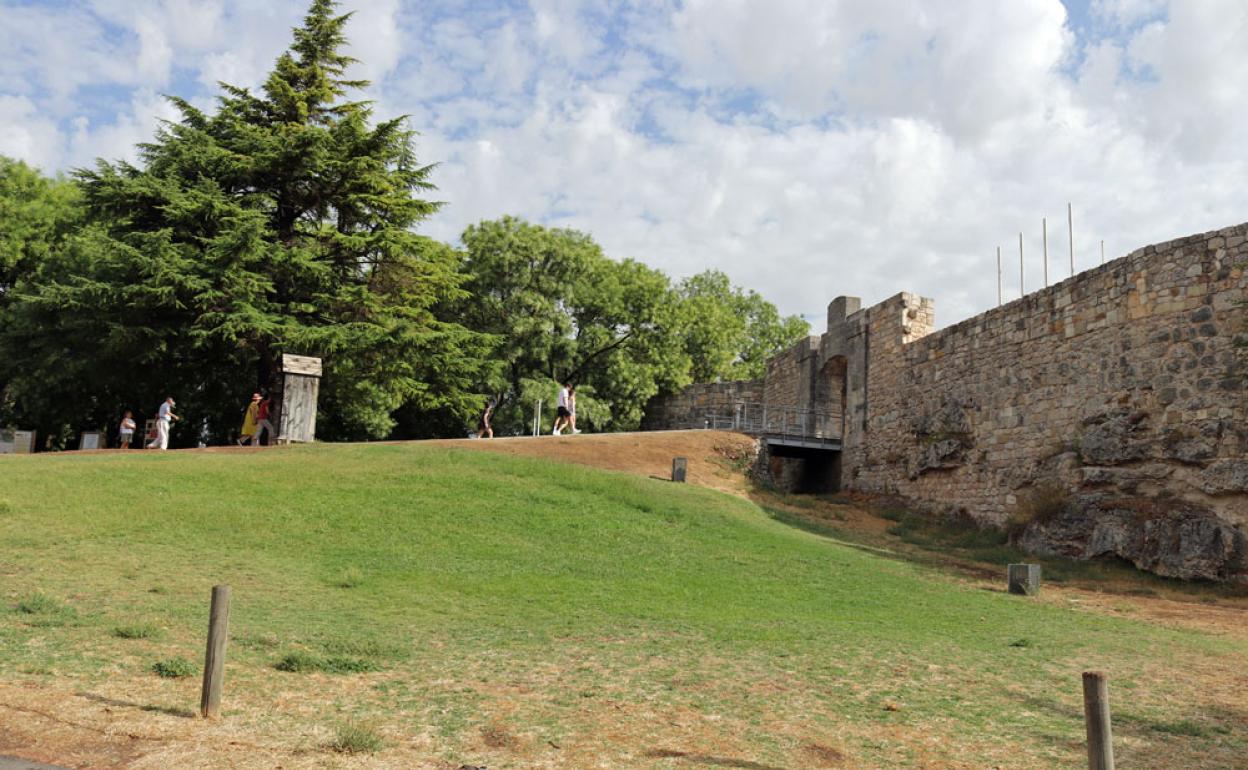 Castillo de Burgos.