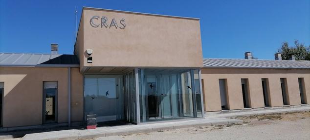 Fotos: Los pacientes más habituales del Centro de Conservación de Animales Silvestres de Burgos son aves