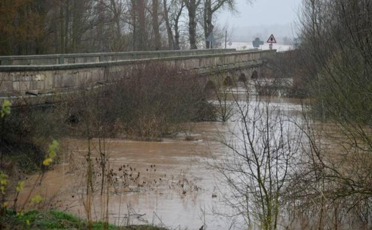 En noviembre de 2021 concluyó el estudio de prospección de náyades autóctonas en el tramo medio del río Ebro. 