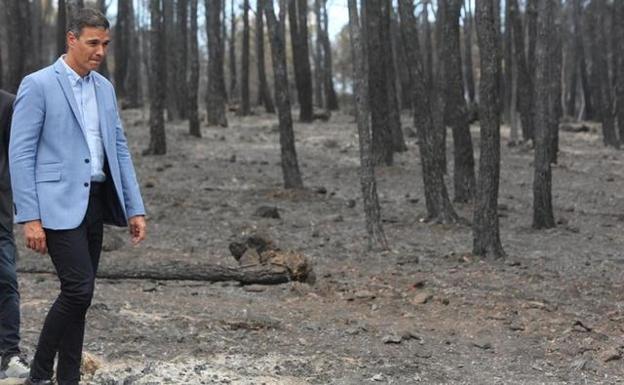 Pedro Sánchez en Teresa. 