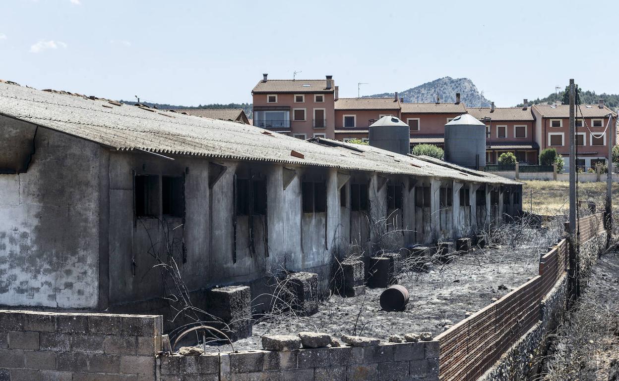 Consecuencias del incendio de Quintanilla del Coco