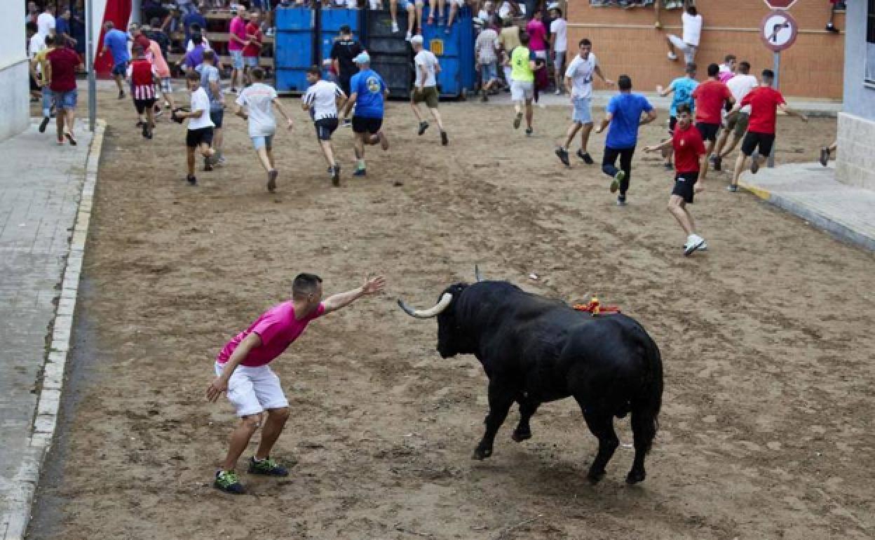 Bous al carrer en la Pobla de Farnals este pasado viernes.